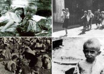 О РЕЗОЛУЦИЈИ О ГЕНОЦИДУ НАД СРПСКИМ НАРОДОМ У ПЕРИОДУ ВЛАДАВИНЕ НДХ У ПЕРИОДУ ДРУГОГ СВЈЕТСКОГ РАТА